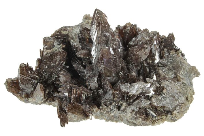 Lustrous Axinite Crystal Cluster - Dalnegorsk, Russia #239597